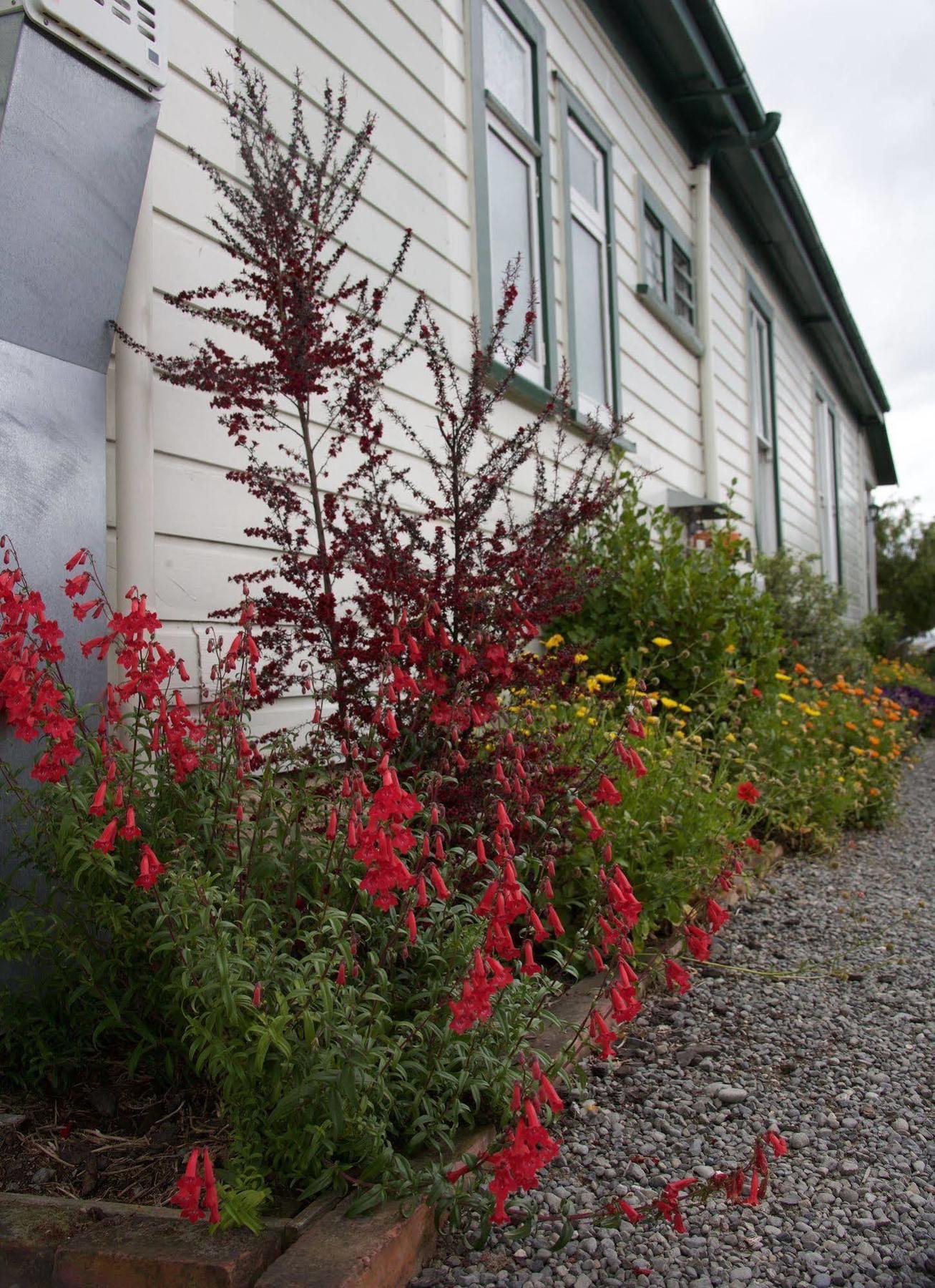 Pinedale Lodge & Apartment Methven Exteriér fotografie